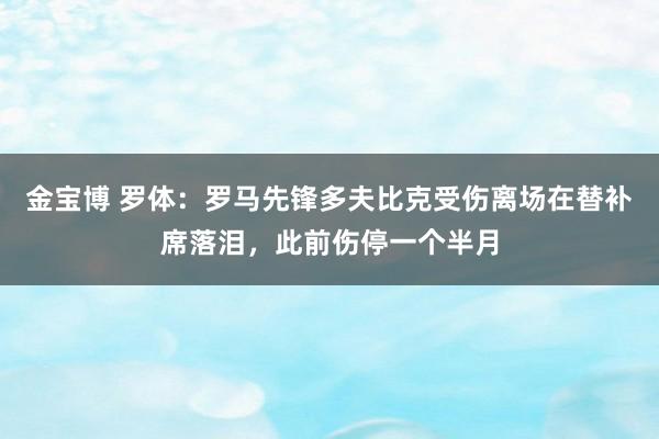 金宝博 罗体：罗马先锋多夫比克受伤离场在替补席落泪，此前伤停一个半月