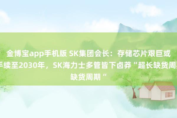 金博宝app手机版 SK集团会长：存储芯片艰巨或合手续至2030年，SK海力士多管皆下卤莽“超长缺货周期“