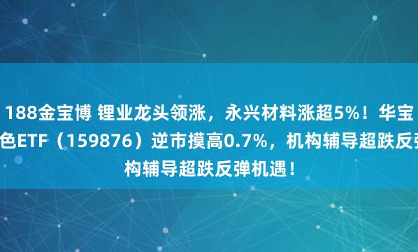188金宝博 锂业龙头领涨，永兴材料涨超5%！华宝基金有色ETF（159876）逆市摸高0.7%，机构辅导超跌反弹机遇！