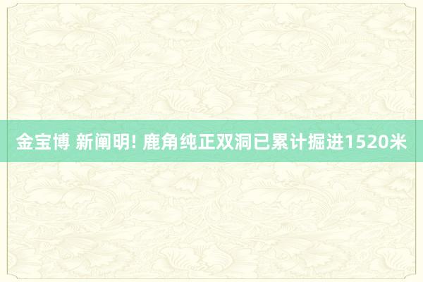 金宝博 新阐明! 鹿角纯正双洞已累计掘进1520米