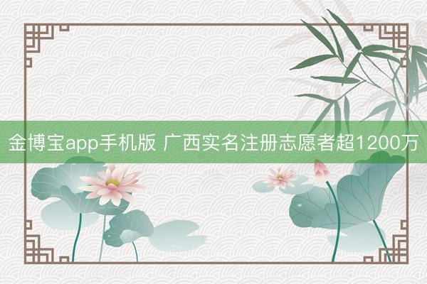 金博宝app手机版 广西实名注册志愿者超1200万