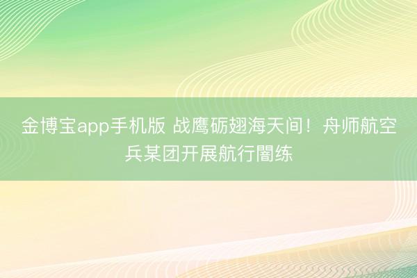 金博宝app手机版 战鹰砺翅海天间！舟师航空兵某团开展航行闇练