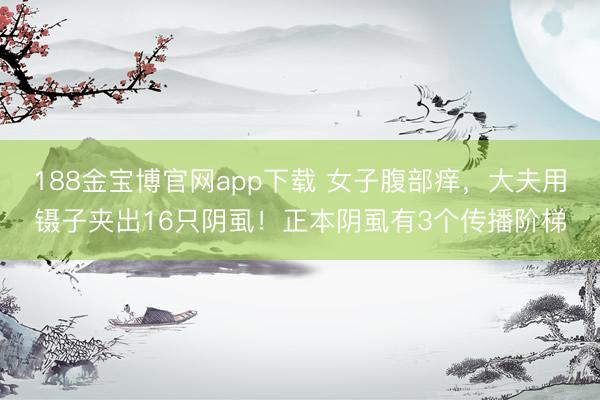 188金宝博官网app下载 女子腹部痒，大夫用镊子夹出16只阴虱！正本阴虱有3个传播阶梯