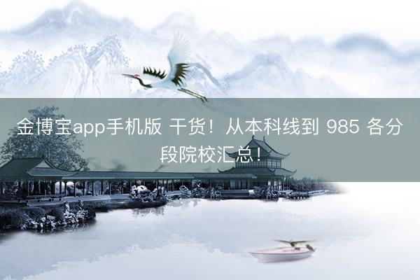 金博宝app手机版 干货！从本科线到 985 各分段院校汇总！