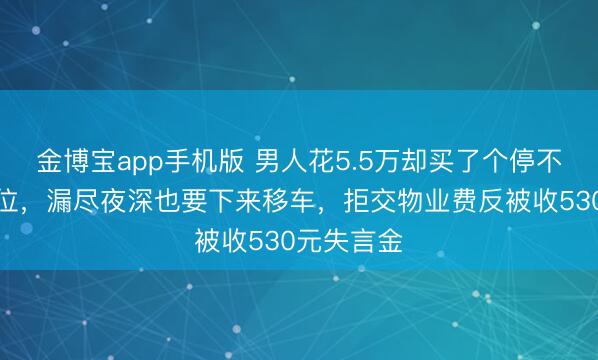 金博宝app手机版 男人花5.5万却买了个停不进去的车位，漏尽夜深也要下来移车，拒交物业费反被收530元失言金