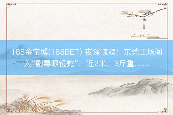 188金宝博(188BET) 夜深惊魂！东莞工场闯入“剧毒眼镜蛇”，近2米、3斤重……
