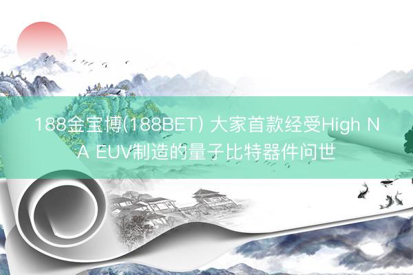 188金宝博(188BET) 大家首款经受High NA EUV制造的量子比特器件问世