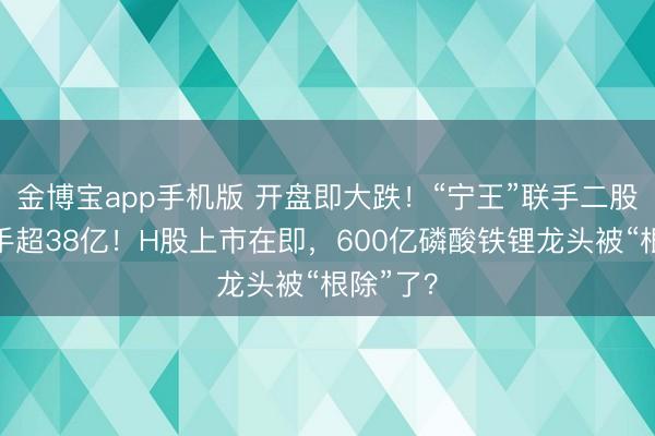 金博宝app手机版 开盘即大跌！“宁王”联手二股东减合手超38亿！H股上市在即，600亿磷酸铁锂龙头被“根除”了？