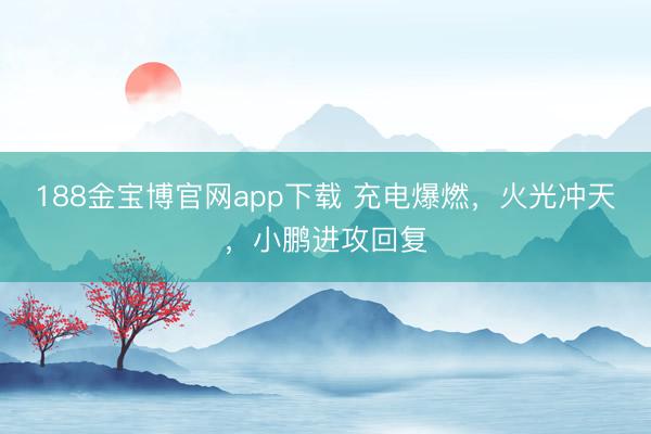 188金宝博官网app下载 充电爆燃，火光冲天，小鹏进攻回复