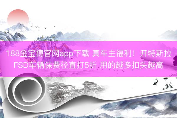 188金宝博官网app下载 真车主福利！开特斯拉FSD车辆保费径直打5折 用的越多扣头越高