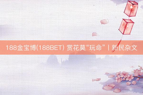188金宝博(188BET) 赏花莫“玩命”丨新民杂文
