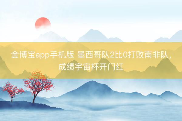 金博宝app手机版 墨西哥队2比0打败南非队，成绩宇宙杯开门红