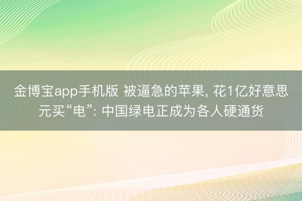 金博宝app手机版 被逼急的苹果， 花1亿好意思元买“电”: 中国绿电正成为各人硬通货