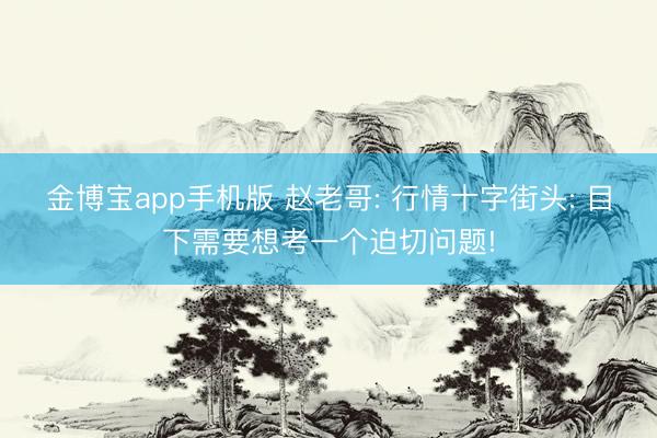 金博宝app手机版 赵老哥: 行情十字街头: 目下需要想考一个迫切问题!