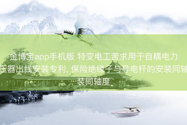 金博宝app手机版 特变电工苦求用于自耦电力变压器出线安装专利， 保险绝缘子与导电杆的安装同轴度
